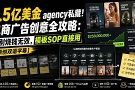 2.5亿美金agency私藏！电商广告创意全攻略：告别烧钱无效，模板SOP直接用【原创双语字幕】