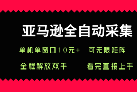 亚马逊全自动采集，单机单窗口一天10 ，可无限矩阵去做【揭秘】