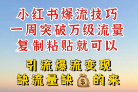 小红书靠复制粘贴，轻松突破万级流量池技巧揭秘