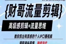 财哥流量剪辑，高级感剪辑 流量思维，教你剪出有质感的个人IP口播视频
