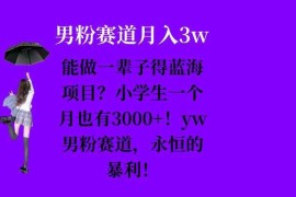能做一辈子的蓝海项目？小学生一个月也有3000 ，yw男粉赛道，永恒的暴利