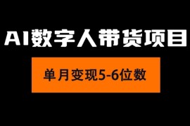（11751期）2024年Ai数字人带货，小白就可以轻松上手，真正实现月入过万的项目