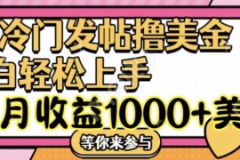 冷门发帖撸美金项目，小白轻松上手，月收益1000 美金