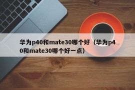 华为p40和mate30哪个好（华为p40和mate30哪个好一点）