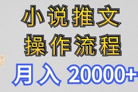 最新玩法，小说推文项目操作流程，月入20000 