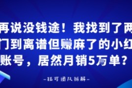 谁再说没钱途！我找到了两个冷门到离谱但賺麻了的小红书账号，居然月销5W单？
