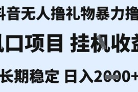 最新风口抖音无人暴力撸金技术，不违规不封号，一个小时收益2k ，小白当天拿结果【揭秘】