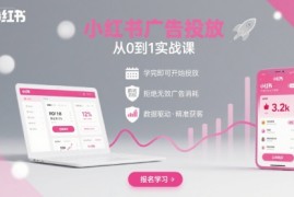 小红书广告投放从0到1的实战课，学完即可开始投放，拒绝无效广告消耗