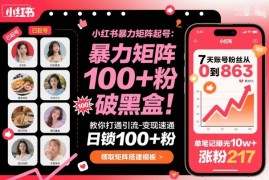 小红书暴力矩阵起号，教你打通引流-变现速通，日锁100 粉，破流量黑盒
