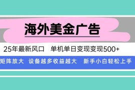 （15902期）最新海外广告美金，全自动挂机，单机单日500 ，可矩阵放大，新手小白轻…