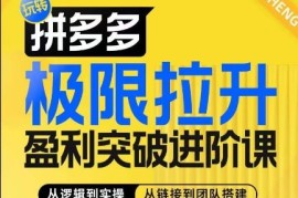 拼多多极限拉升盈利突破进阶课，从算法到玩法，从玩法到团队搭建，体系化系统性帮助商家实现利润提升