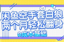（13004期）闲鱼空手套白狼 0成本基础，简单易上手项目 两个月轻松翻身 …
