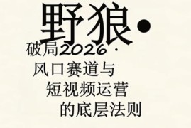 野狼团队·多平台实操运营课，覆盖AI口播、服装、好物、漫剪等热门玩法（更新4月）