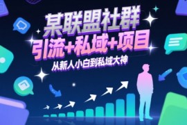 某联盟社群，引流 私域 项目，从新人小白到私域大神