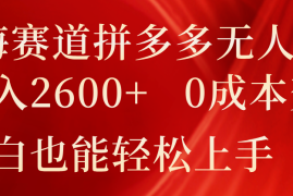 蓝海赛道拼多多无人直播，日入2600 ，0成本变现，小白也能轻松上手