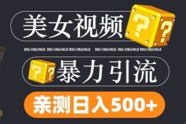 搬运tk美女视频全网分发，日引s粉300 ，轻松变现，不限流量不封号【揭秘】