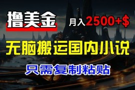 最新撸美金项目，搬运国内小说爽文，只需复制粘贴，稿费月入2500 美金，新手也能快速上手【揭秘】