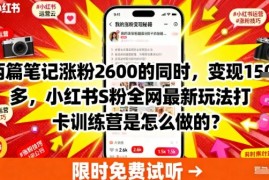 两篇笔记涨粉2600的同时，变现多张，小红书S粉全网最新玩法打卡训练营是怎么做的？