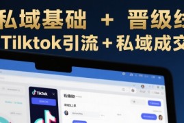 跨境私域基础 晋级线上课，Tilktok引流 私域成交