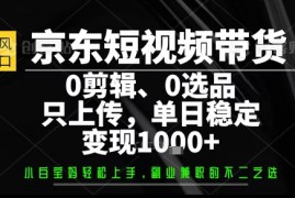 你出账号，我来运营，保底日入1k ，开启躺賺模式【揭秘】