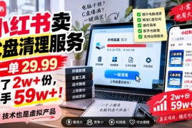 小红书卖C盘清理服务，一单29.99，卖了2w 份，技术也是虚拟产品