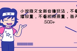 小说推文全新自撸玩法，不看播放量，不看视频质量，每天500 