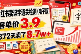 小红书卖识字通关检测(电子版)，客单价3.9，372天卖了8.7w 