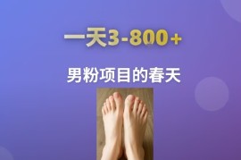 AI一键生成美女素材，一天收益3-8张，男粉项目的春天