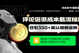 评论区低成本引流秘籍，精准钩子直击用户，单账号日增300 创业粉，日稳定变现800 
