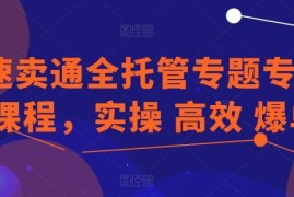 速卖通全托管专题专项课程，实操 高效 爆单