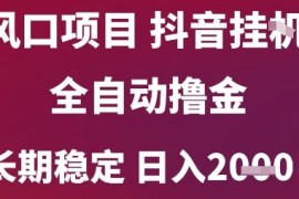 风口项目，六月最新玩法抖音无人挂G，全自动撸金，长期稳定 日入2k 【揭秘】