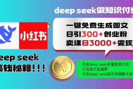（14323期）Deep seek 一键免费生成小红书图文日引300 创业粉，日变现3000 教程！…