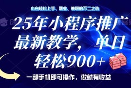 （14271期）25年小程序推广，最新教学，单日轻松变现900 ，一部手机就可操作，小白…