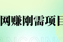 1单20 ，网创刚需项目，接码平台撸收益，每天小赚300 