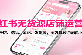 小红书无货源店铺运营课：涵盖开店、选品、笔记、发货等，全方位教你玩转小红书