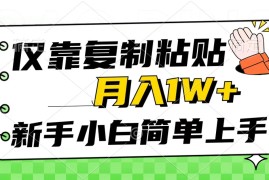 （10461期）仅靠复制粘贴，被动收益，轻松月入1w ，新手小白秒上手，互联网风口项目