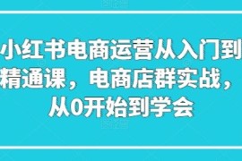 小红书电商运营从入门到精通课，电商店群实战，从0开始到学会