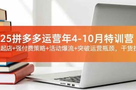 （16642期）2025拼多多运营年4-10月特训营：暴力起店 强付费策略 活动爆流 突破运营瓶颈，干货拉满