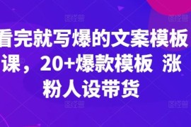 看完就写爆的文案模板课，20 爆款模板 涨粉人设带货