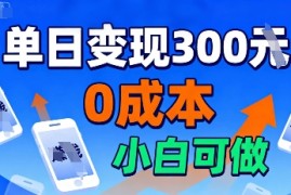 适合新手起步，零成本就能做，当天操作当天见收益，还能无限复制放大的项目