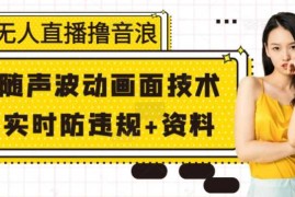 无人直播撸音浪 随声波动画面技术 实时防违规 资料【揭秘】