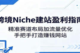 跨境Niche建站盈利指南：精准赛道布局加流量优化，手把手打造赚钱网站