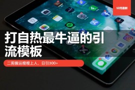 （13654期）打自热最牛逼的引流模板，二剪搬运嗖嗖上人，日引300 