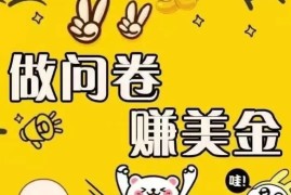 国外问卷调查小白在家也可批量操作（口子查站点查渠道查）真正的长久稳定项目 日入1500 