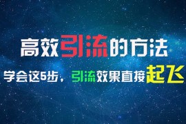 （11776期）高效引流的方法，可以帮助你日引300 创业粉，一年轻松收入30万，比打工强