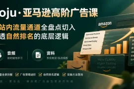 亚马逊高阶广告课，从站内流量通道全盘点切入，讲透自然排名的底层逻辑(直播 音频 资料)