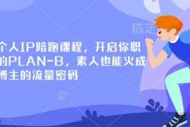 小红书个人IP陪跑课程，开启你职业生涯的PLAN-B，素人也能火成为百万博主的流量密码