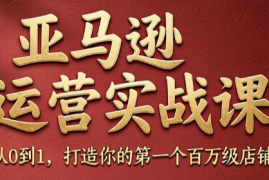 skyla·亚马逊运营实战课(更新8月)