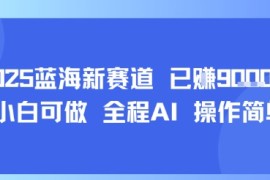 2025蓝海新赛道 已挣9k  小白可做 全程AI 操作简单