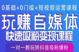 0基础 0门槛 短视频运营课程，玩赚自媒体快速吸粉变现课程，一对一教玩转抖音吸粉爆粉
